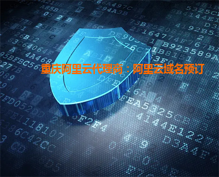 重慶阿里云代理商：阿里云域名預(yù)訂